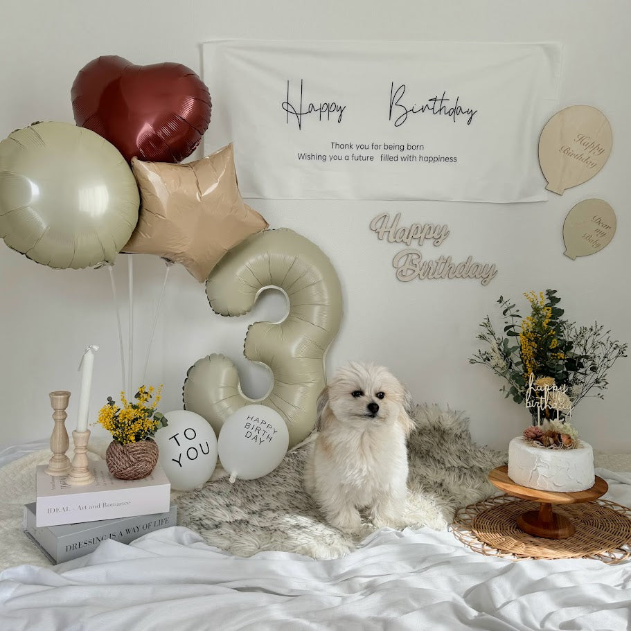誕生日飾り9点セット