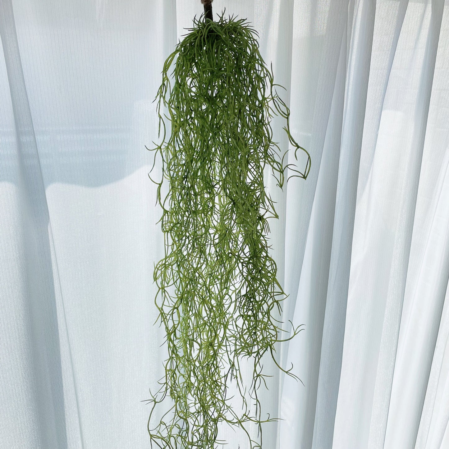 フェイクグリーン ウスネオイデス アートプランツ