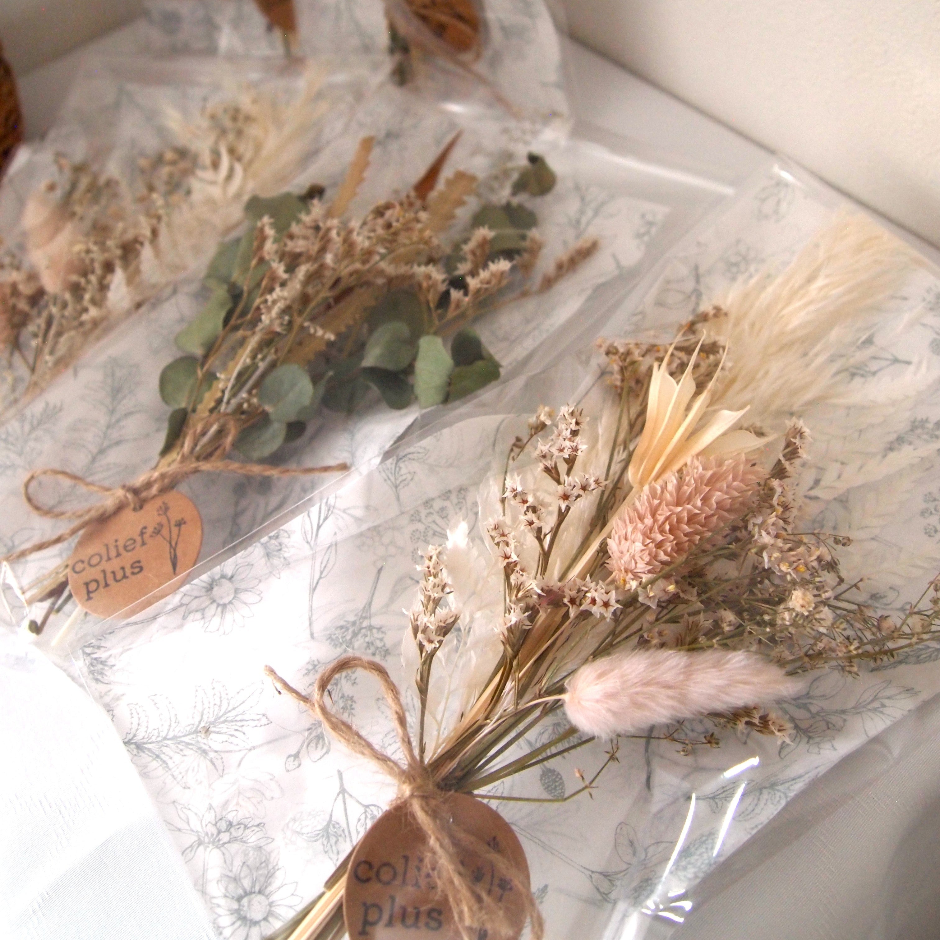 ドライフラワー（在庫あり） – coliefplus